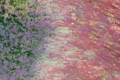 皇家贝蒂斯逆转逆转，安东尼制胜，主场不败惊心动魄